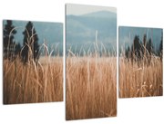 Obraz - detail lúčneho porastu (90x60 cm)