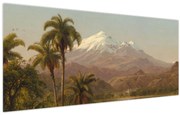 Obraz - Frederic Edwin Church, Tamaca Palms, reprodukcia (120x50 cm)