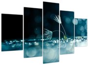 Obraz - Makro (150x105 cm)