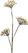 Umelá kvetina Krémové bobule na stonke, 50 cm%