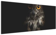 Obraz sovy (120x50 cm)