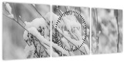 Obraz - Zasnežené vetvy (s hodinami) (90x30 cm)