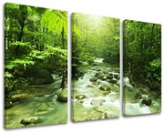 Obraz na stenu STROMY | rôzne rozmery