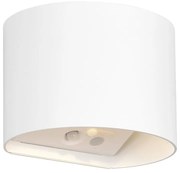 LED nástenné vonkajšie svietidlo so senzorom pohybu na USB (výška 10 cm) Genie – Trio