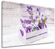 Obraz na stenu FIALOVÉ KVETY_164-11 | rôzne rozmery