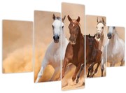 Obraz - Stádo koní (150x105 cm)