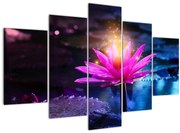 Obraz lekna na vode (150x105 cm)