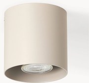 Stropné bodové svietidlo Roda