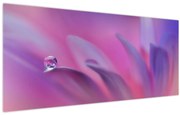 Obraz - Kvapka na kvete (120x50 cm)