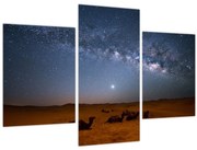 Obraz - Noc v púšti (90x60 cm)