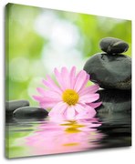 Obraz na stenu FENG SHUI | rôzne rozmery