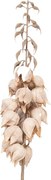 Dekorácia umelá kvetina Yucca s béžovými kvetmi - 12*12*100 cm