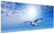 Obraz - Čajka nad morom (120x50 cm)
