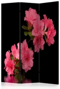 Artgeist Paraván - Azalea in Black [Room Dividers]