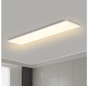 Brilagi - LED Stropné svietidlo SLIMFRAME LED/58W/230V 120x30 cm biela BG1546