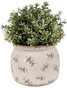 Béžový antik obal na kvetináč s olivami Olive Fields M - Ø 16*13 cm