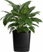 Plastový květináč s podmiskou Cubi 34x34 cm černý