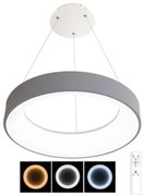 Ecolite WMKL02R-40W/LEDSED-LED Stmievateľný luster NEST LED/40W/230V 3000-6500K+DO
