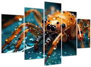 Obraz - Detail pavúka (150x105 cm)