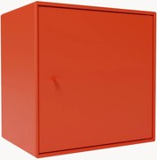 Modul Mini 1003