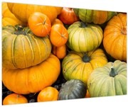 Obraz - Jesenná tekvica (90x60 cm)
