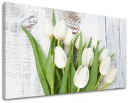 Obraz na stenu KVETY | rôzne rozmery