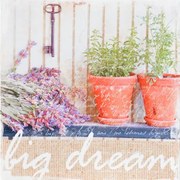 Obraz tlačený na plátne 28x28 PRC905