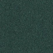 Kobercové štvorce TESSERA TEVIOT fľaškovo zelené 50x50 cm