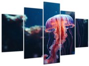 Obraz - Medúzka (150x105 cm)