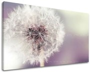 Obraz na stenu KVETY | rôzne rozmery