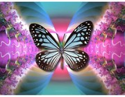 785190 NORIMPEX 5D Diamantová mozaika - Hypnóza