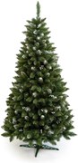 Limpol VIANOČNÝ STROMČEK Borovica Iza Perla Výška stromčeka: 150 cm