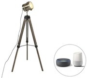 Inteligentná stojaca lampa trojnožka drevená so štúdiovým bodovým svetlom vrátane Wifi B35 - Braha