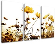 Obraz na stenu KVETY | rôzne rozmery