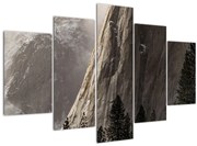 Obraz z údolia Yosemite národnej parku, USA (150x105 cm)