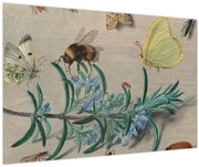 Obraz - Jan van Kessel the Elder, Insects and a Sprig of Rosemary, reprodukcia (90x60 cm)