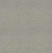 PVC podlaha - lino Flexar PUR 542-01 sv. šedá, na mieru, šíře 2m,4m, šedá, bez podkladu, kancelária, Lentex