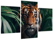 Obraz - Portrét tigra v džungli (90x60 cm)