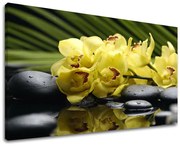 Obraz na stenu FENG SHUI | rôzne rozmery