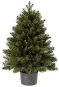 Vianočný stromček 3D Mini Borovica 100 cm v kvetináči