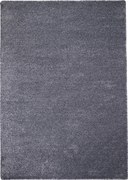 AKCIA: 120x170 cm Kusový koberec Apollo Soft antra, šedá, chodba / predsieň, Vopi