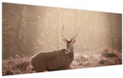Obraz - Jeleň v lese (120x50 cm)