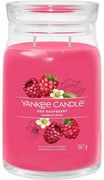 Yankee Candle Vonná sviečka veľká Signature Red Raspberry, 567 g, L