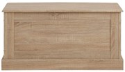 Úložná truhlica v dubovom dekore Støraa Bruce