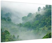 Obraz - Ranná hmla (90x60 cm)