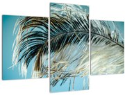 Obraz pierka (90x60 cm)