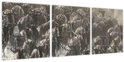 Obraz - Stádo pakoňov (s hodinami) (90x30 cm)