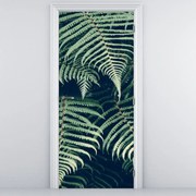 Fototapeta na dvere - Listy papradí (95x205cm)