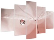 Obraz - Kvapka rosy (150x105 cm)