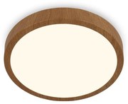 Brilo - LED Stropné svietidlo RUNA LED/12W/230V